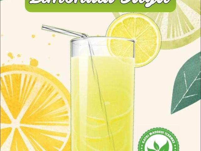 El Yapımı Limonata